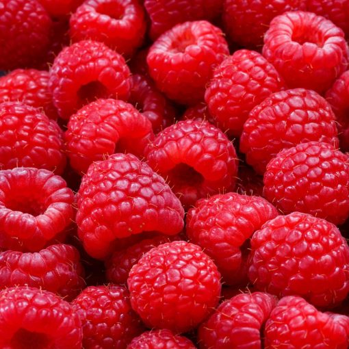 French Butter Shortbreads, Raspberry - Image 3