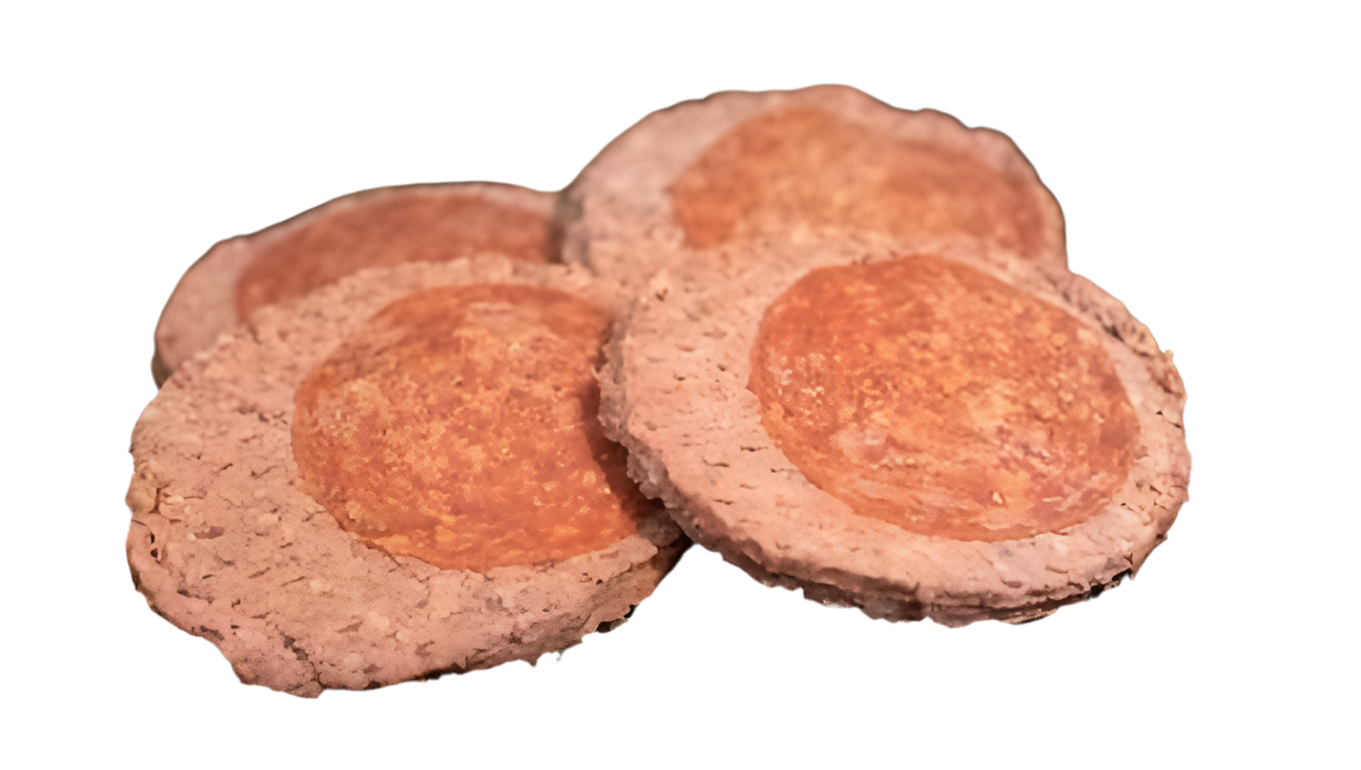 Pizza Burgers
