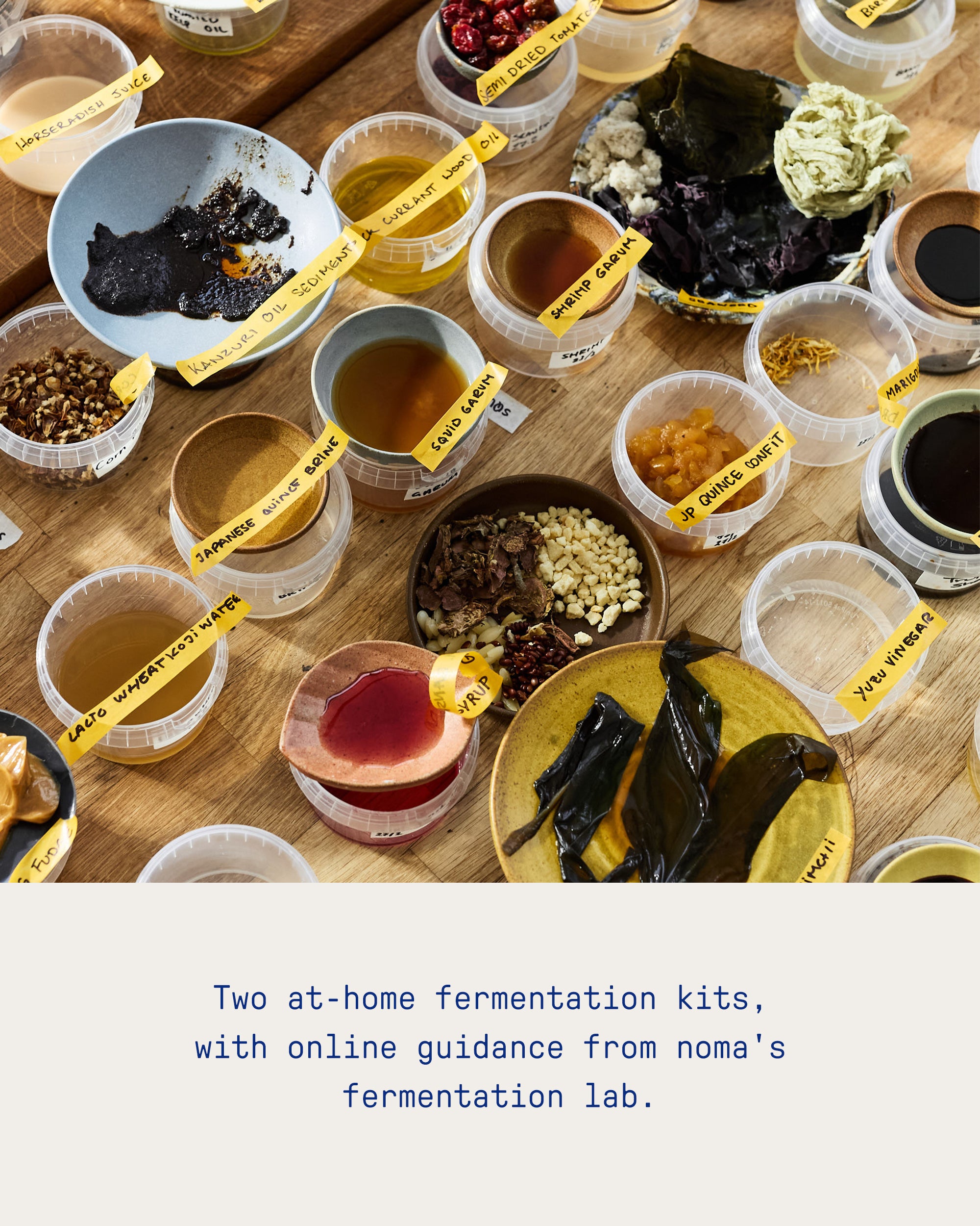 Taste Buds Membership - Image 4